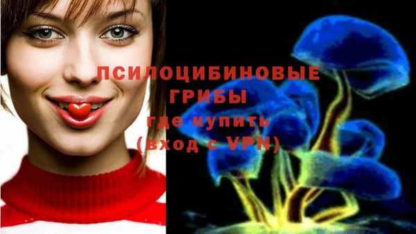 Альфа ПВП Баксан