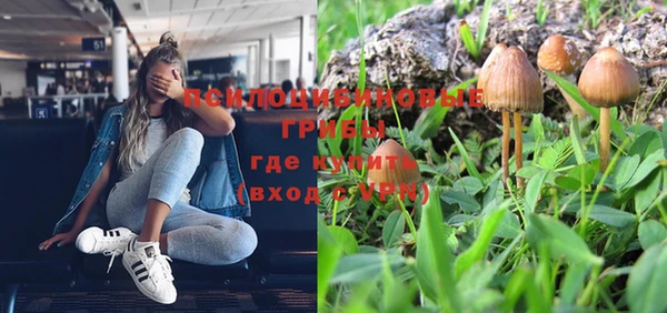 ALPHA PVP Белокуриха