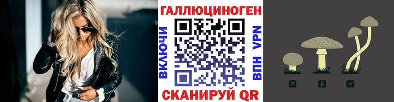 KRAKEN ONION  как найти   Усть-Илимск  Псилоцибиновые грибы GOLDEN TEACHER 