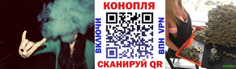Шишки марихуана сатива  MEGA tor  Усть-Илимск 